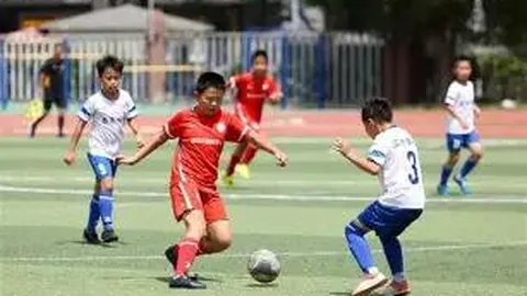 “即便人数减少，加强控球仍需引进塞尔吉尼奥”